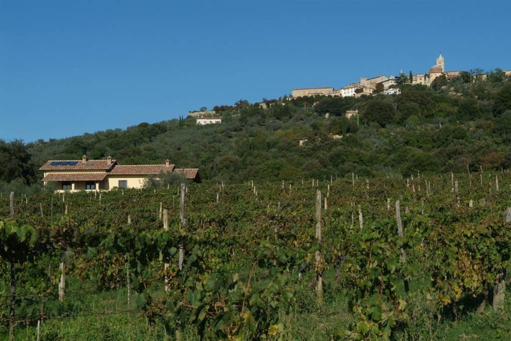 Wine Apartment Le Sedici Massa Marittima Exterior foto